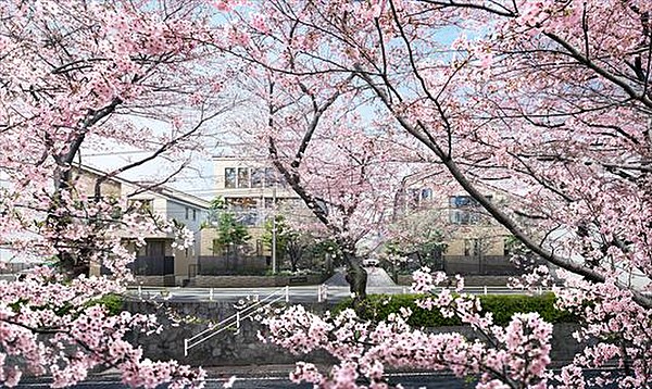 グランフォーラム田園調布本町 桜坂