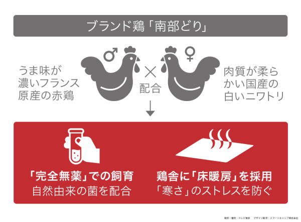 カンブリア宮殿,アマタケ